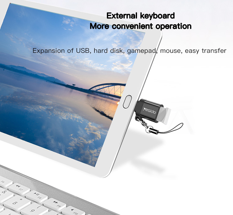 Yesido מתאם OTG TYPE-C OTG (GS06)