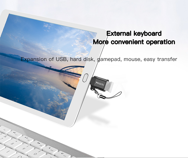 Yesido מתאם OTG MICRO OTG (GS07)